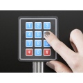 Electronic Switches/Keypads